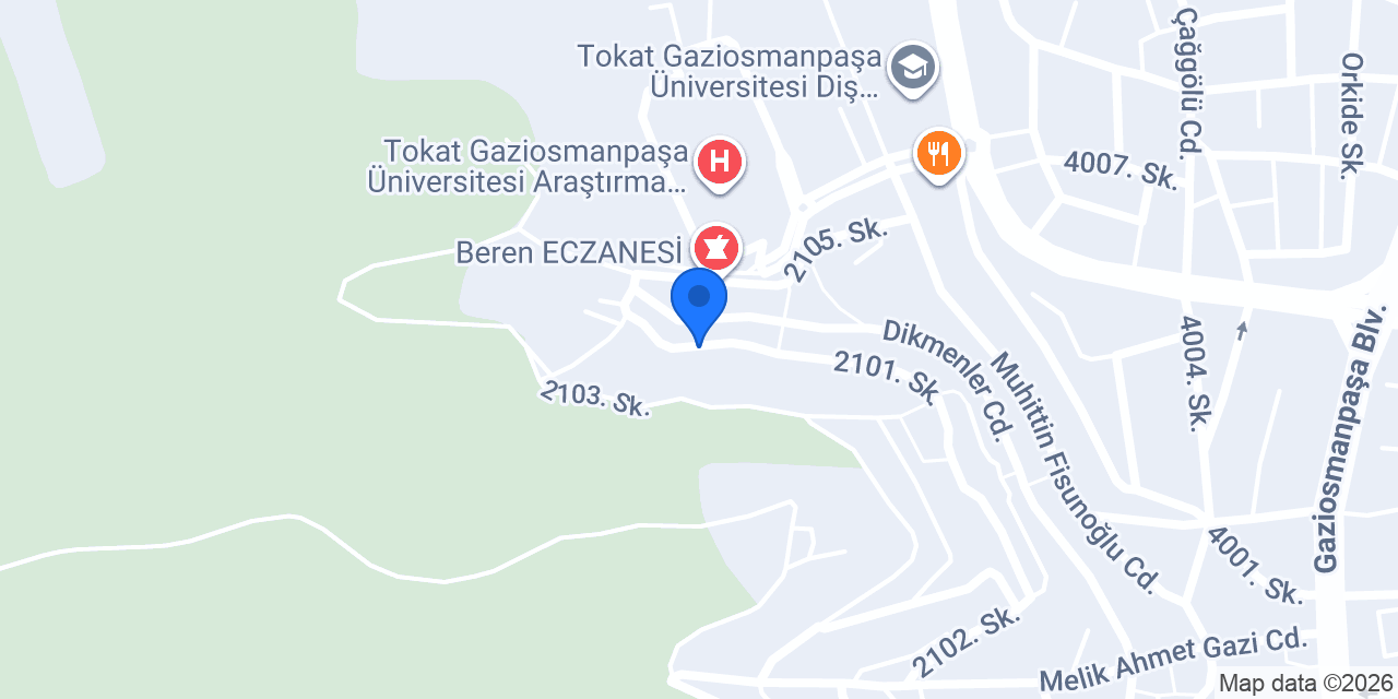 Çamlıca Rezidans konumu