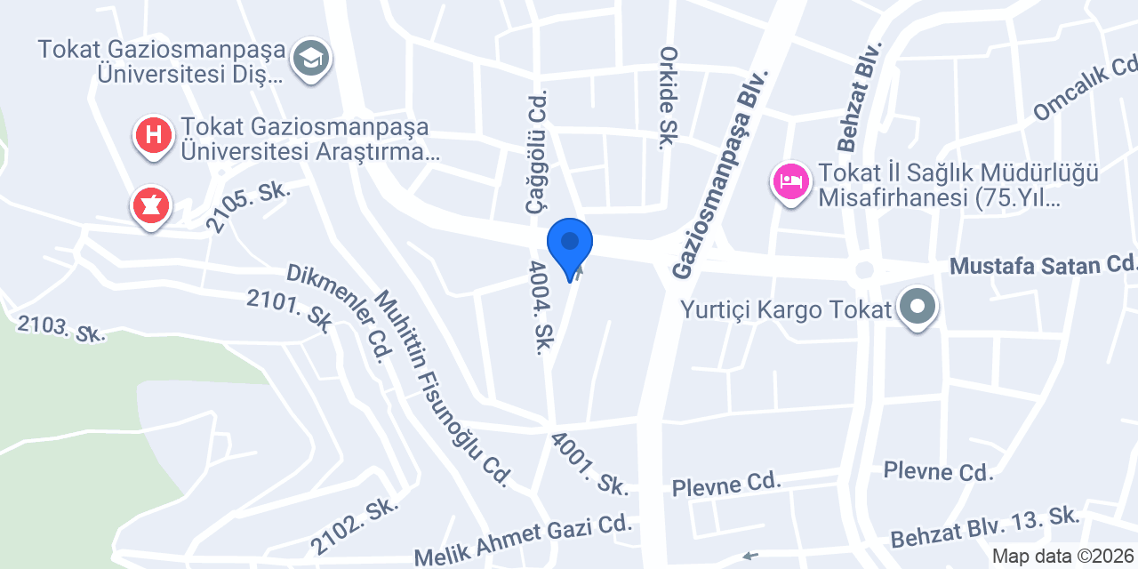 Frida Sanat Evi Dövme konumu