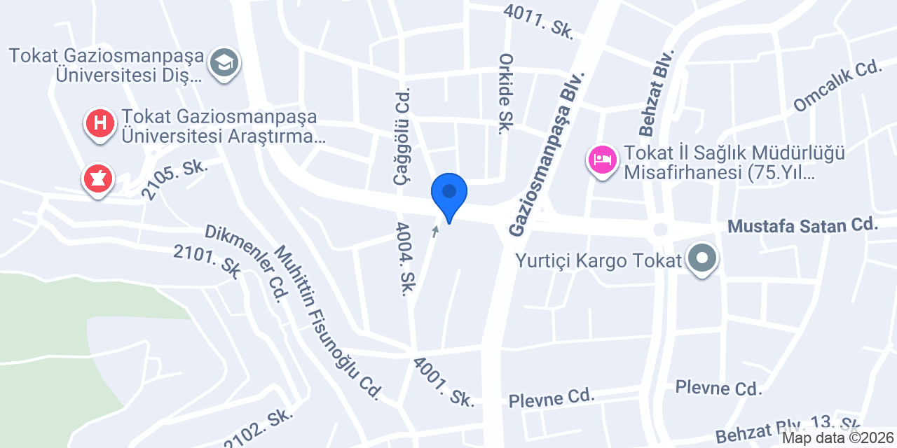 Tokat Çiçek Siparişi konumu