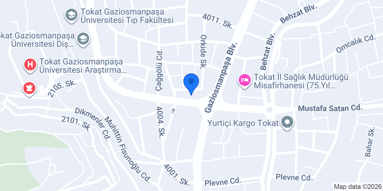 Arzum Çiçekçilik konumu
