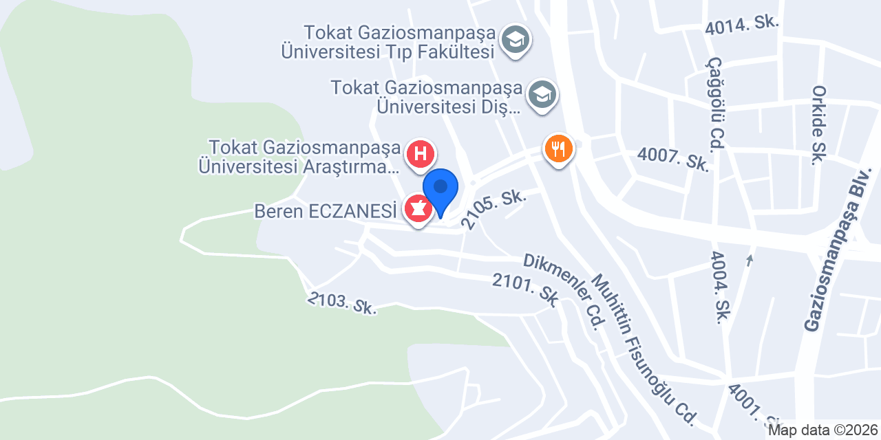 Üniversite Optik konumu
