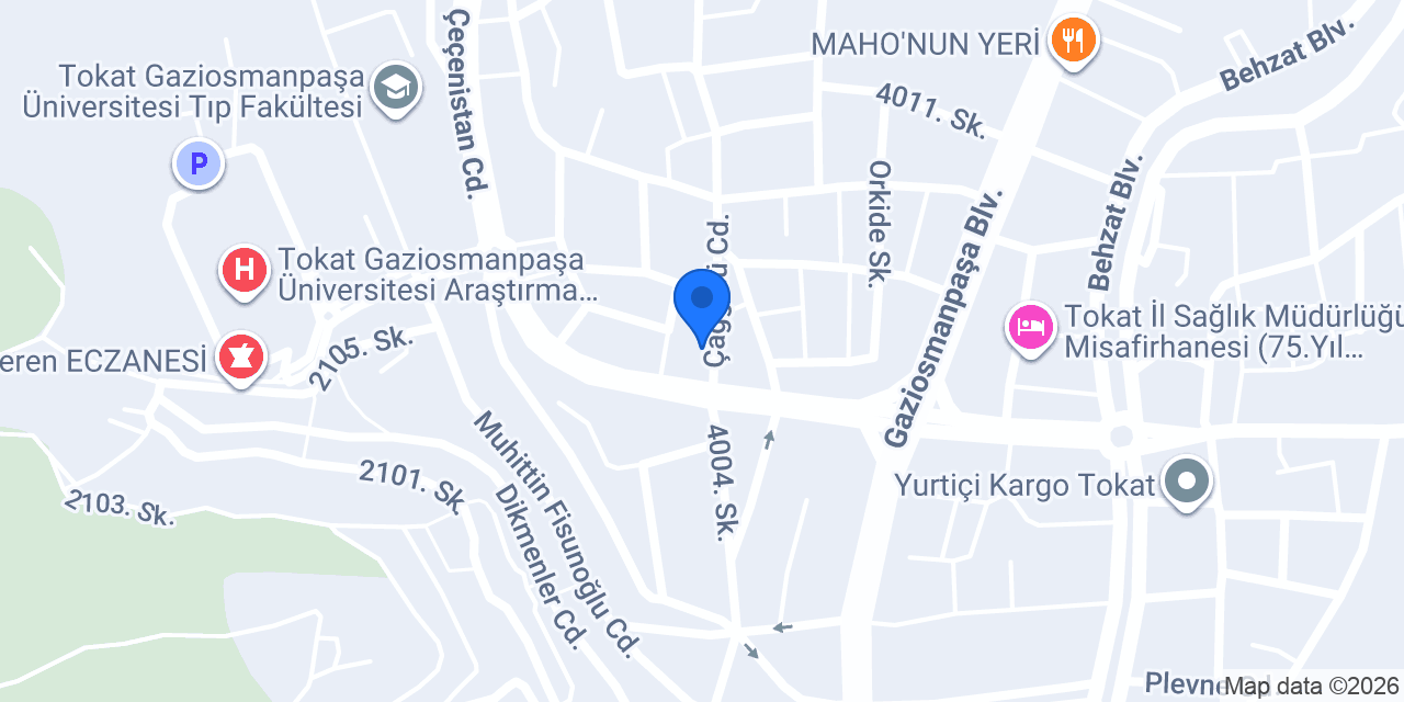 Doğan Pansiyon konumu