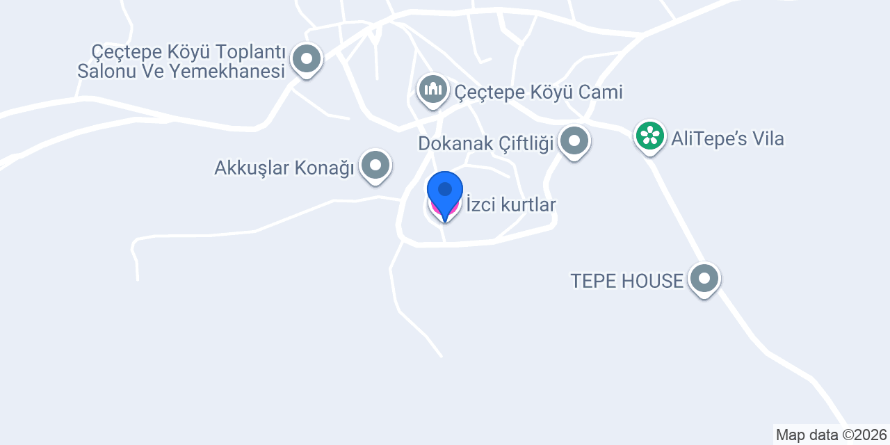 İzci kurtlar konumu