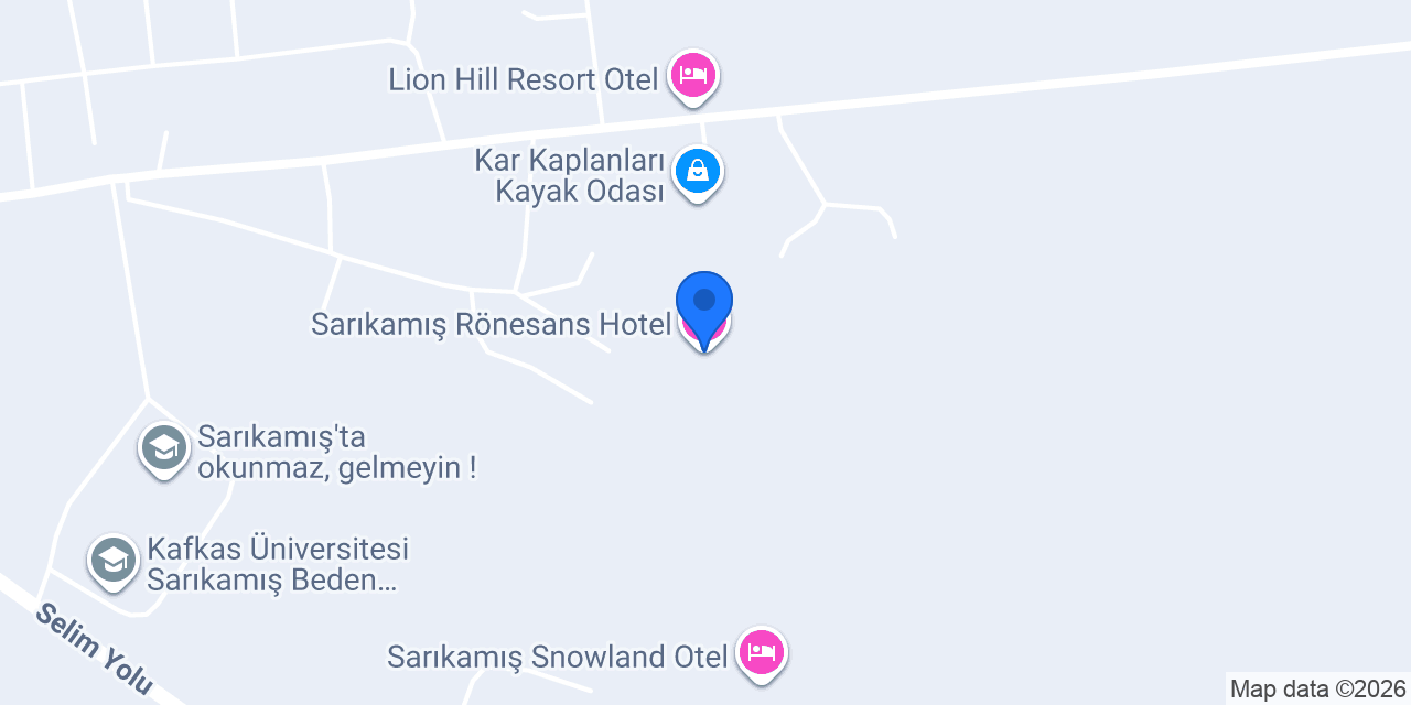 Sarıkamış Rönesans Hotel konumu