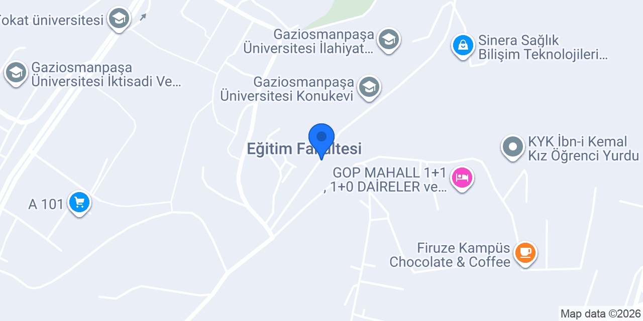 Doç. Dr. Psk. Dan Ahmet Erdem konumu