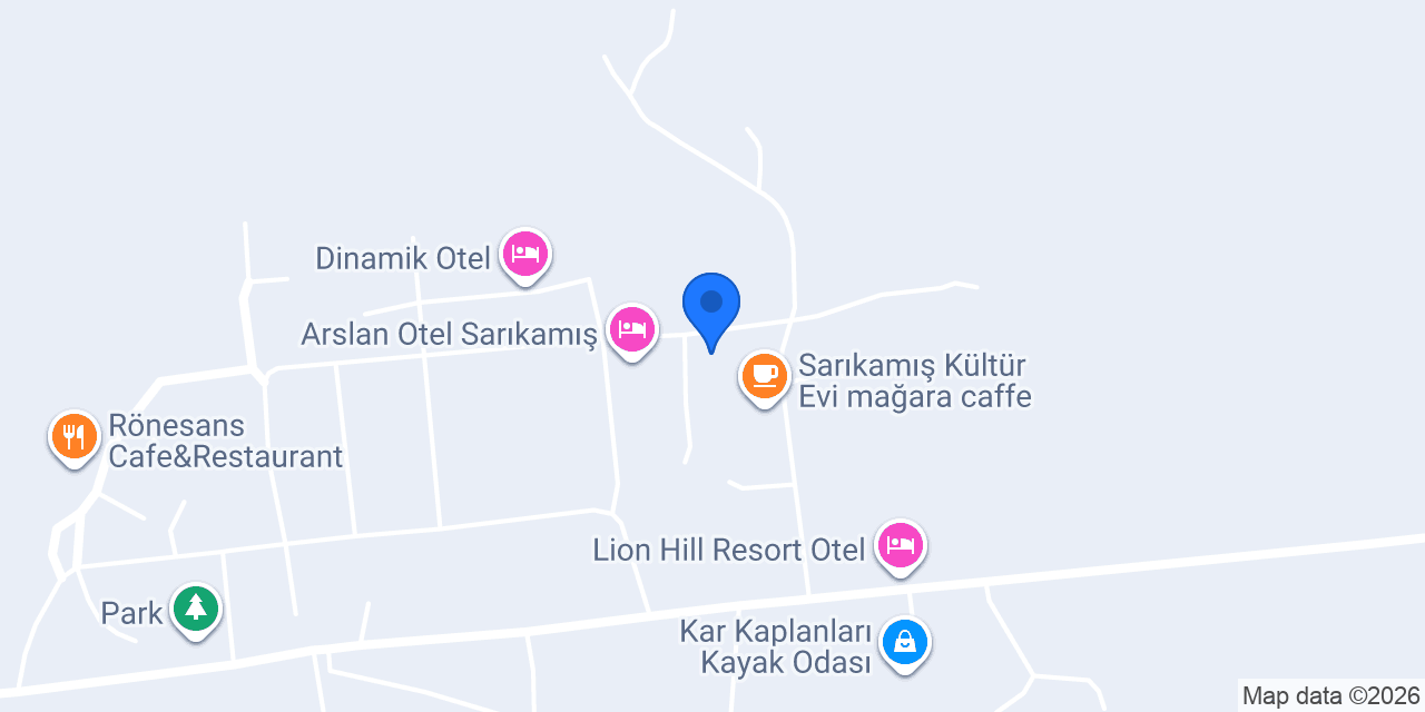 ALTIN OTEL SARIKAMIŞ konumu