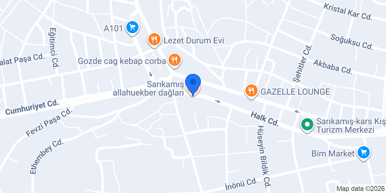 Sarikamis taksi konumu