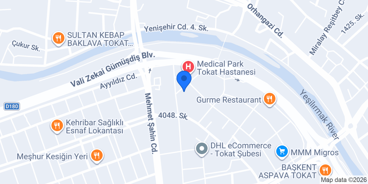 TOKAT ÇİÇEKÇİ konumu