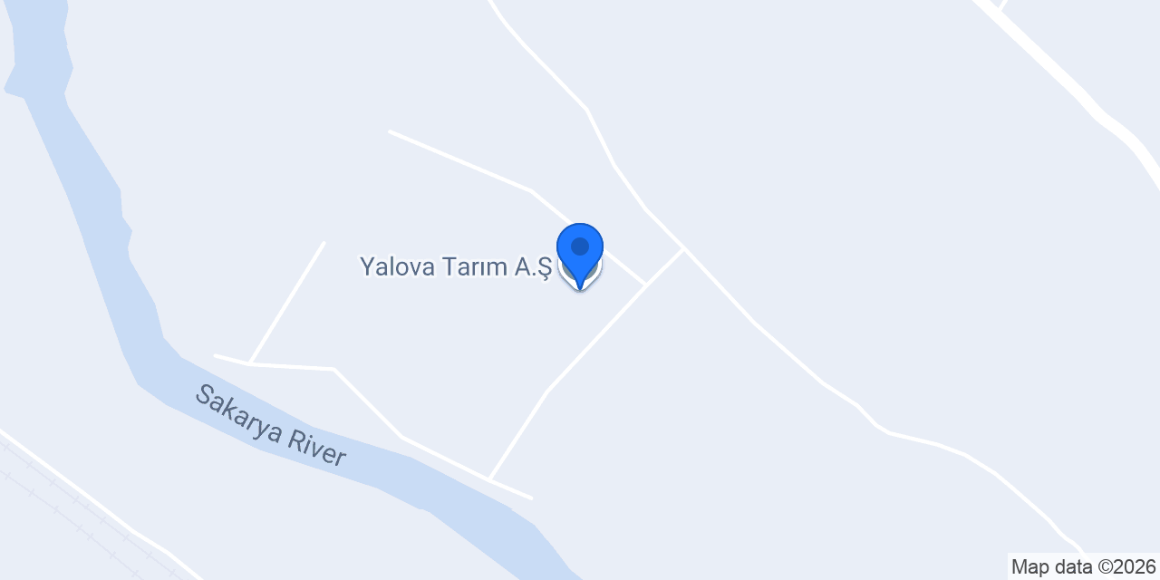 Yalova Tarım A.Ş. konumu