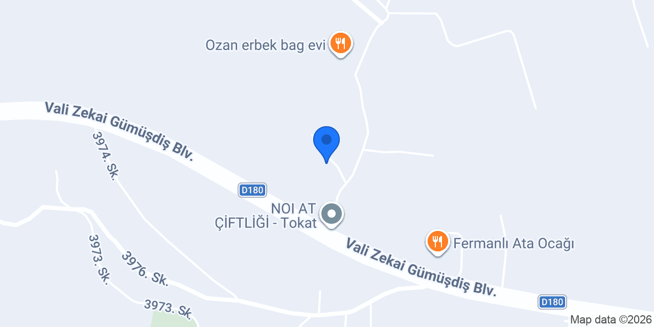 NOI Tokat konumu