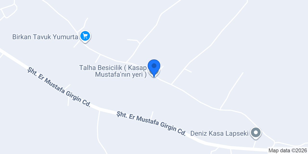 Talha Besicilik ( Kasap Mustafa’nın yeri ) konumu