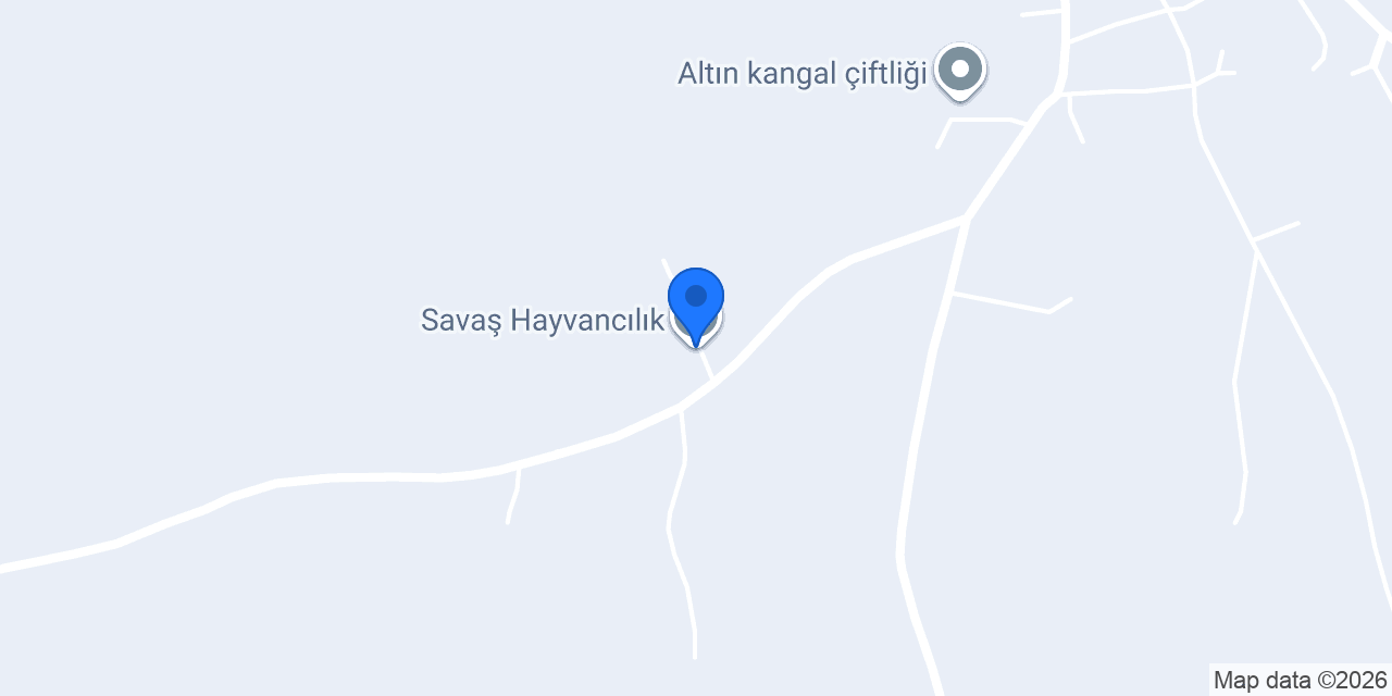 Savaş Hayvancılık konumu