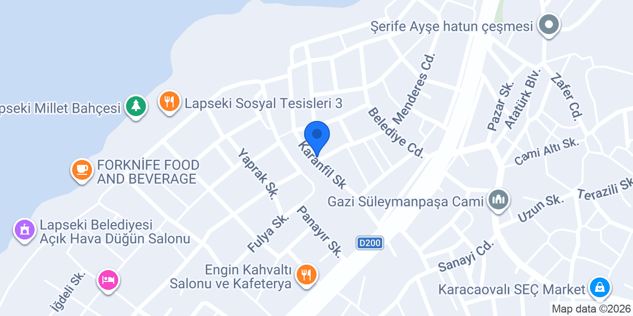 altıntaş gıda konumu