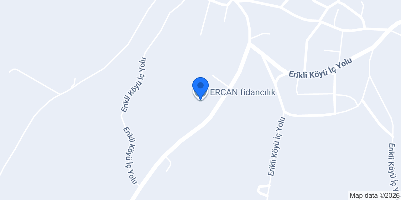 ERCAN fidancılık konumu