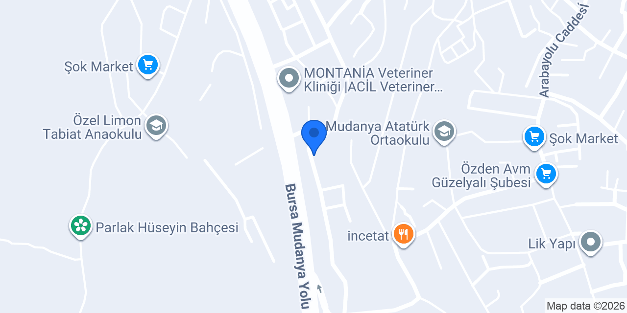 BAKİ MOTORS konumu