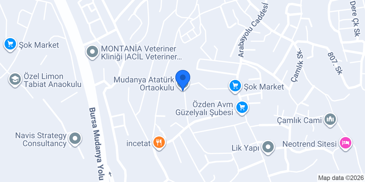 Mudanya Atatürk Ortaokulu konumu