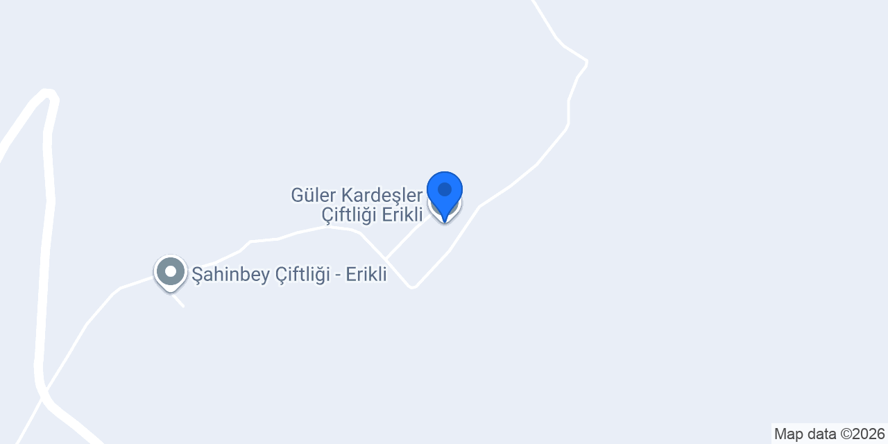 Güler Kardeşler Çiftliği Erikli konumu