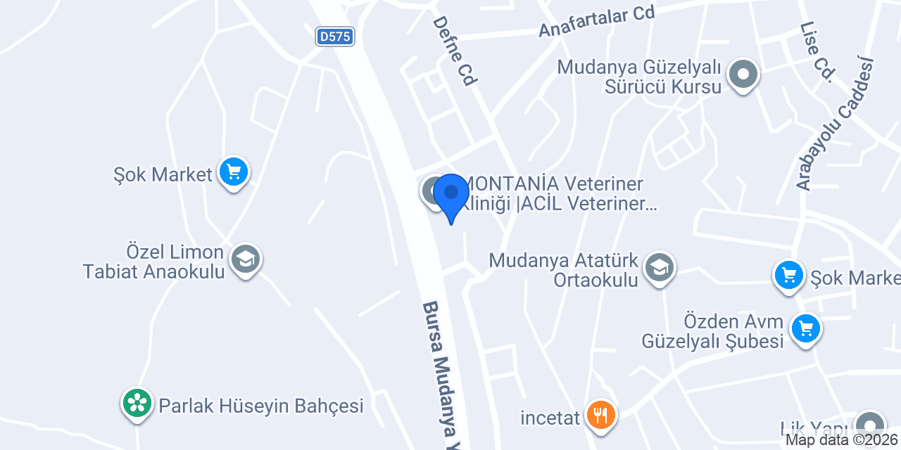 Özkar Celik Kapi konumu