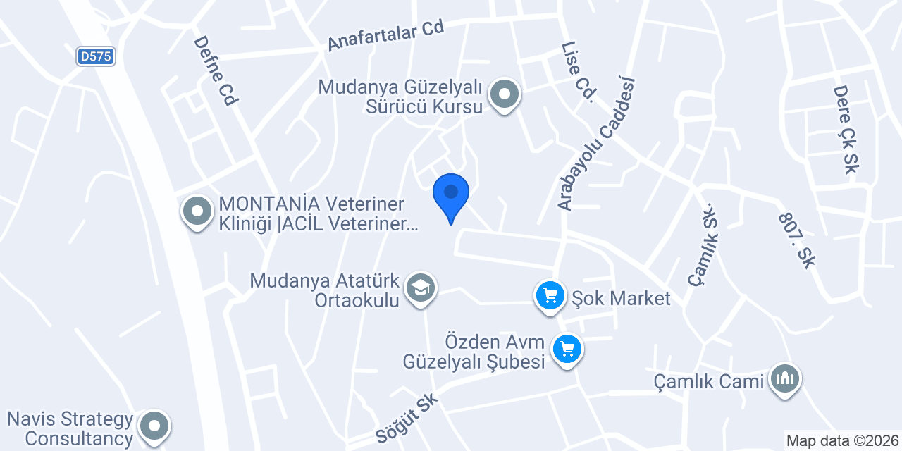 herşeyburada konumu