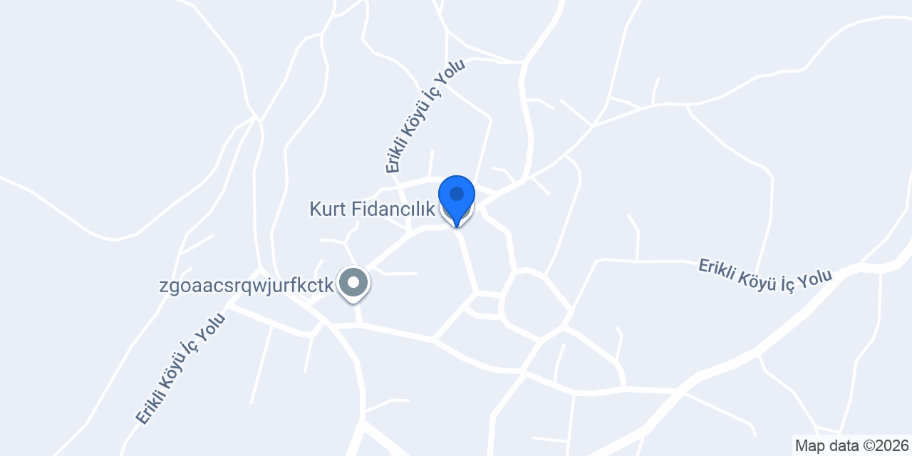 Kurt Fidancılık konumu