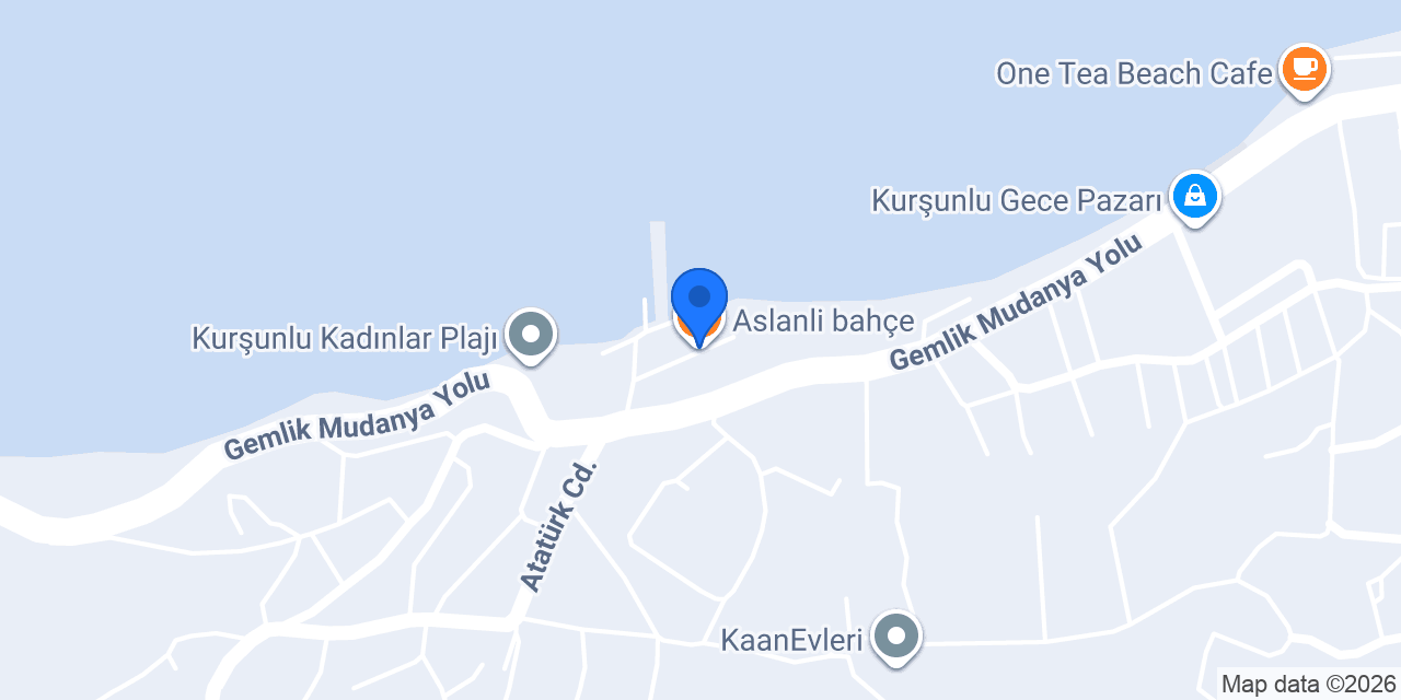 Aslanli bahçe konumu