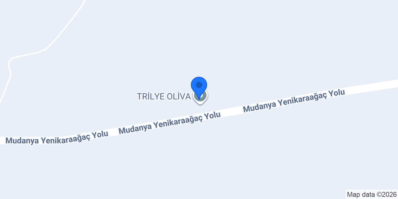 TRİLYE OLİVA konumu