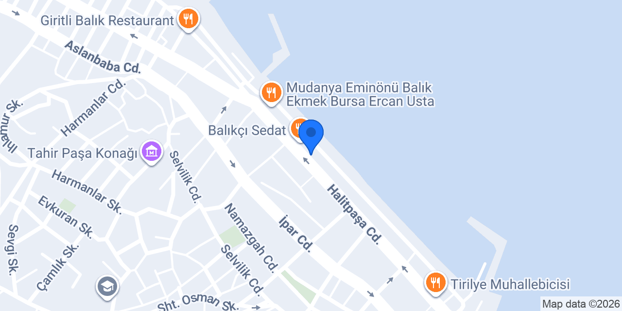 Domino's Pizza Mudanya konumu