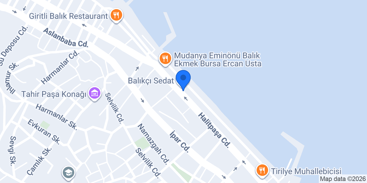 BURSA SARMA EVİ konumu