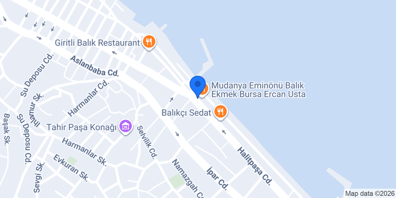 Börekçi Necati Usta konumu