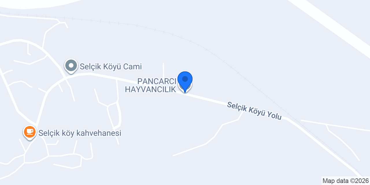 PANCARCI HAYVANCILIK konumu