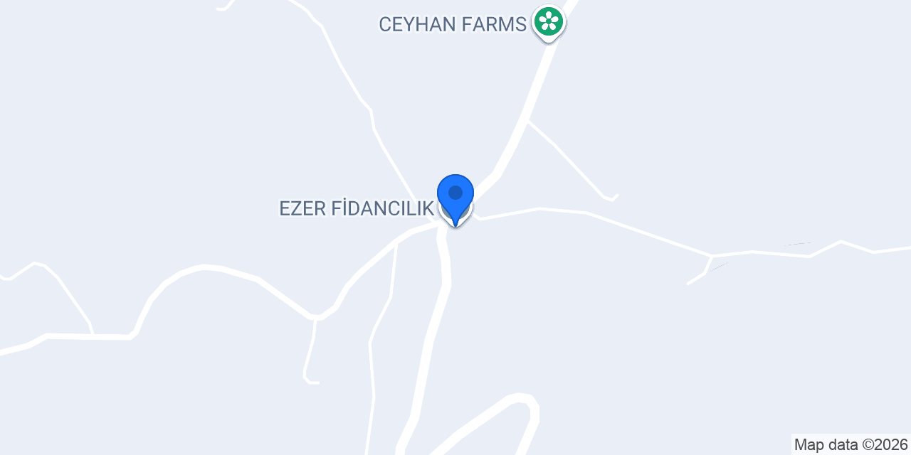EZER FİDANCILIK konumu