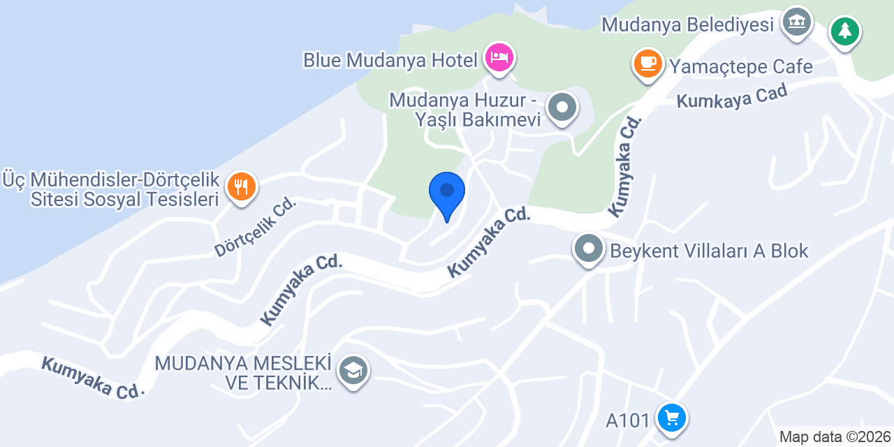 Mudanya luxury house konumu