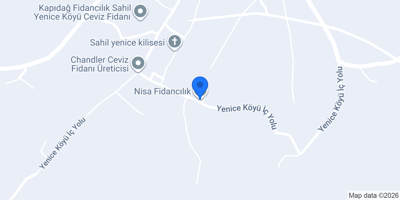 Nisa Fidancılık konumu