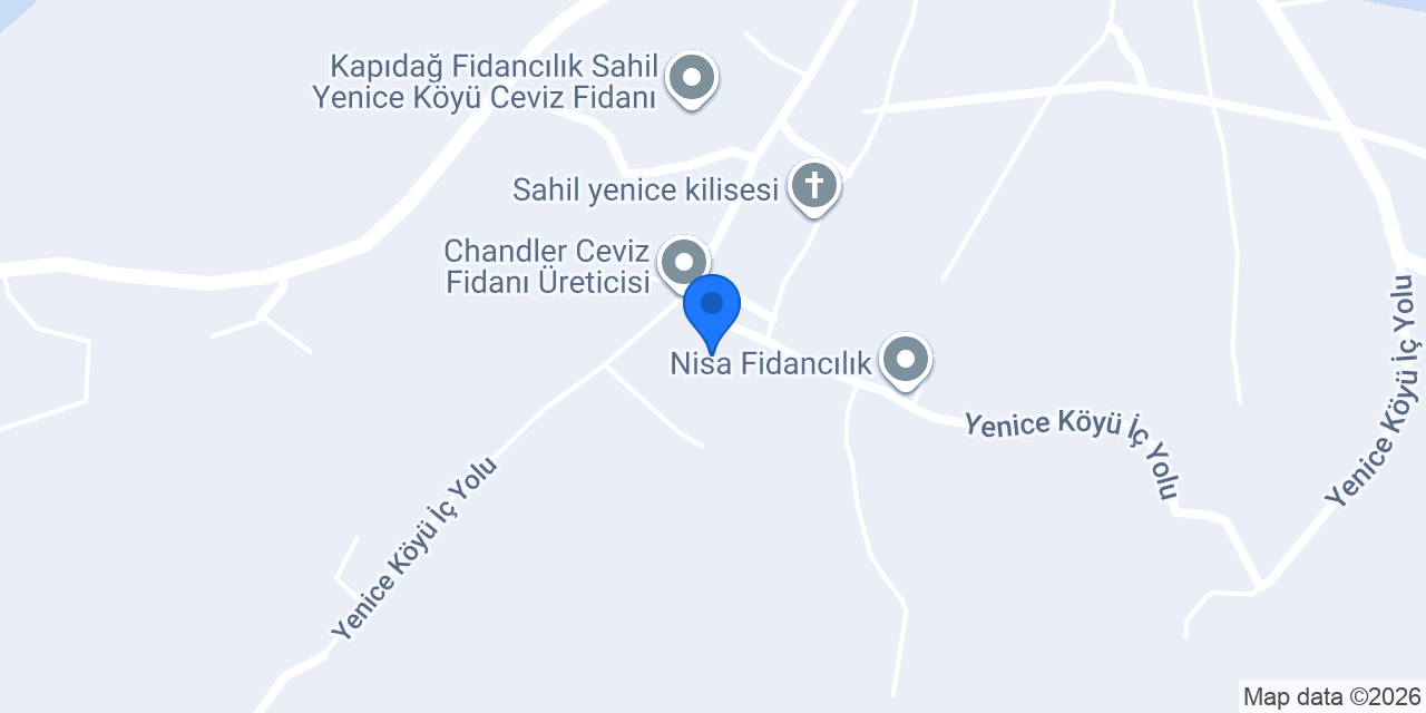 Ceviz Fidancısı konumu