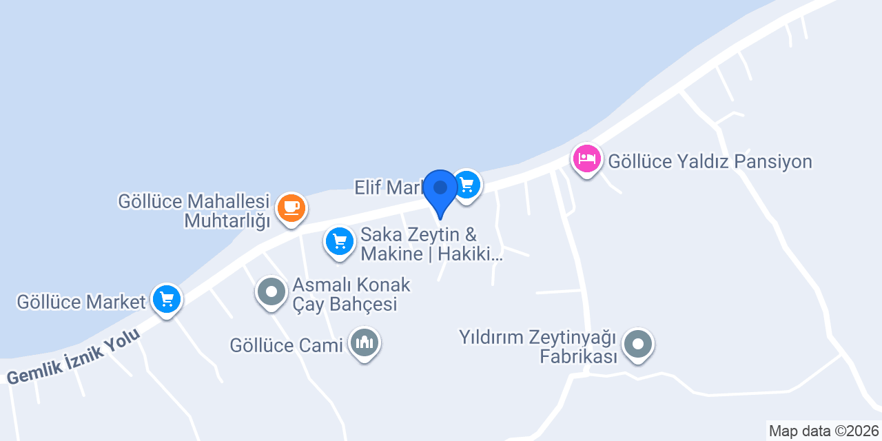 İZNİK GÖLLÜCE EMLAK konumu