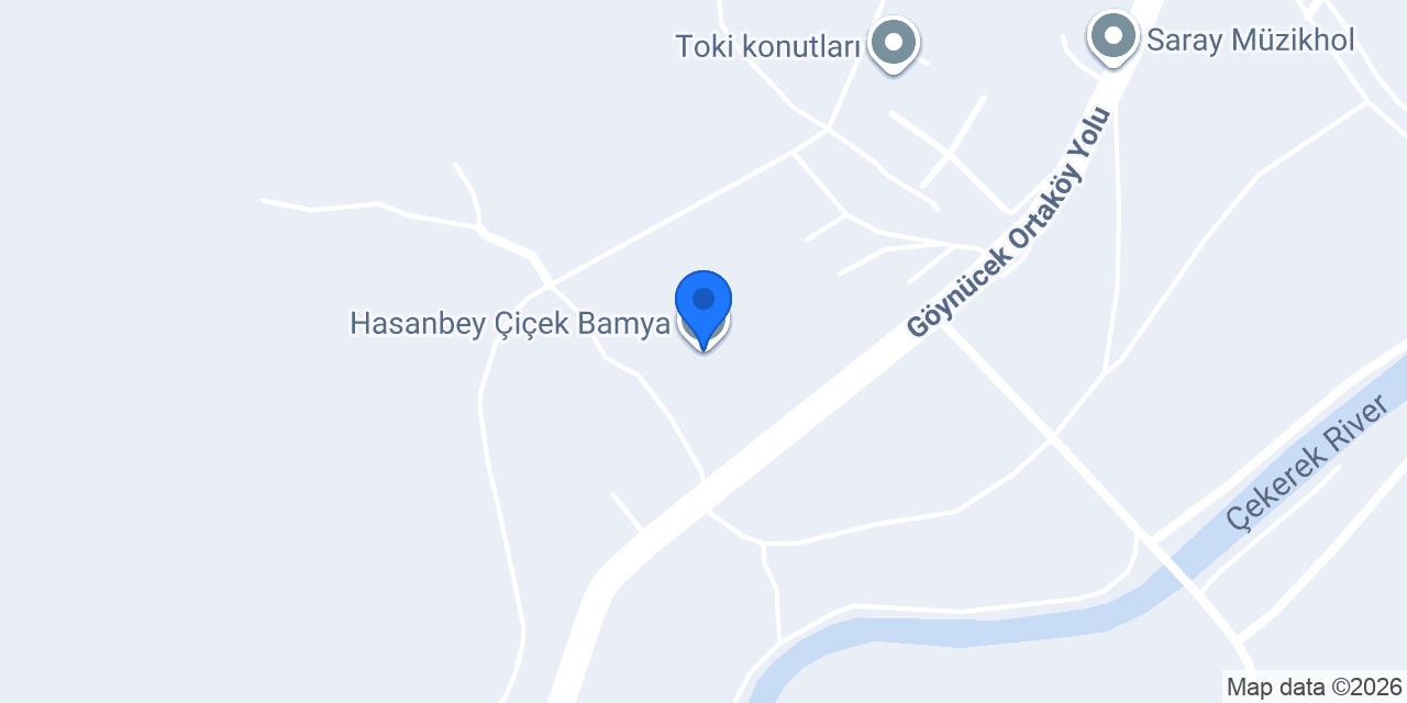 Hasanbey Çiçek Bamya konumu