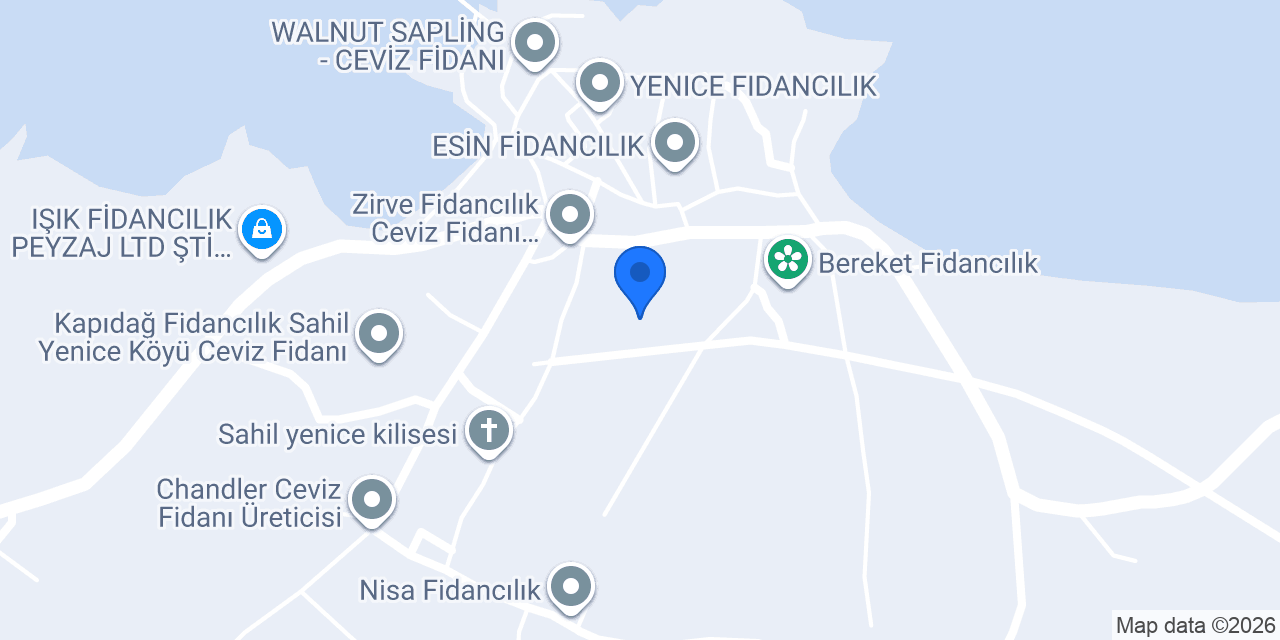 Asil Fidancılık konumu