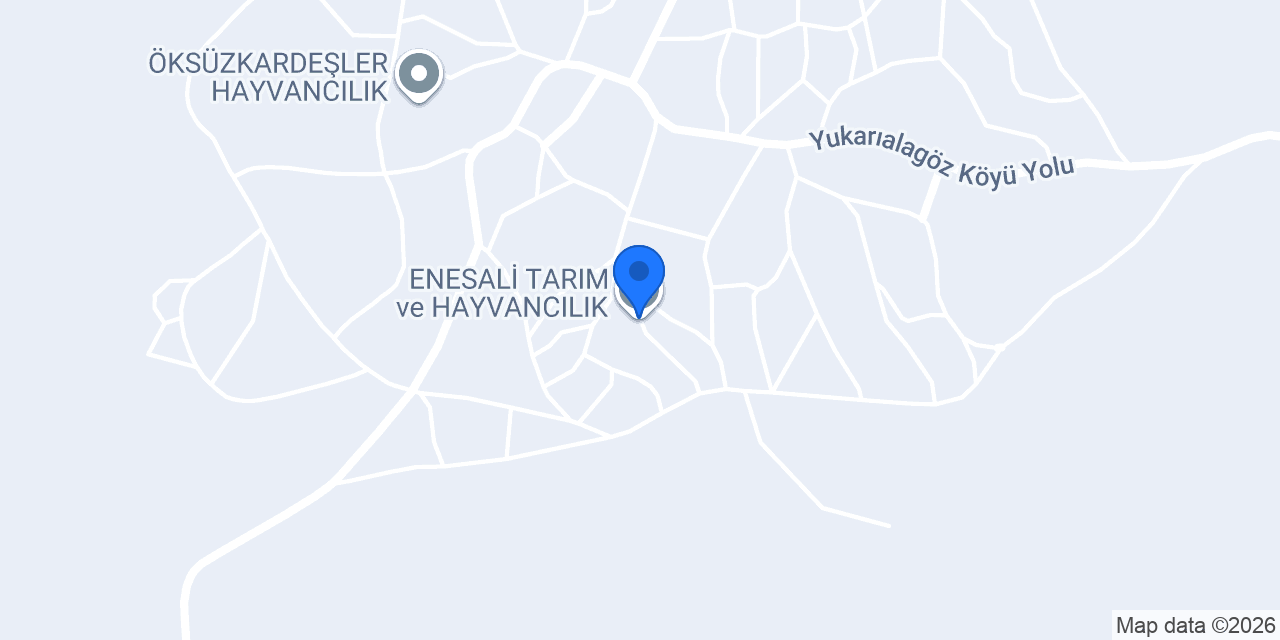 ENESALİ TARIM ve HAYVANCILIK konumu
