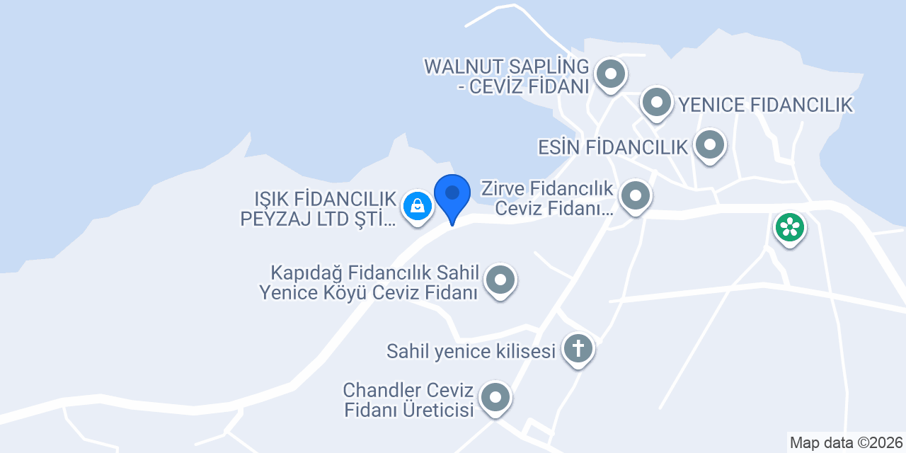 Emir Fidancılık konumu