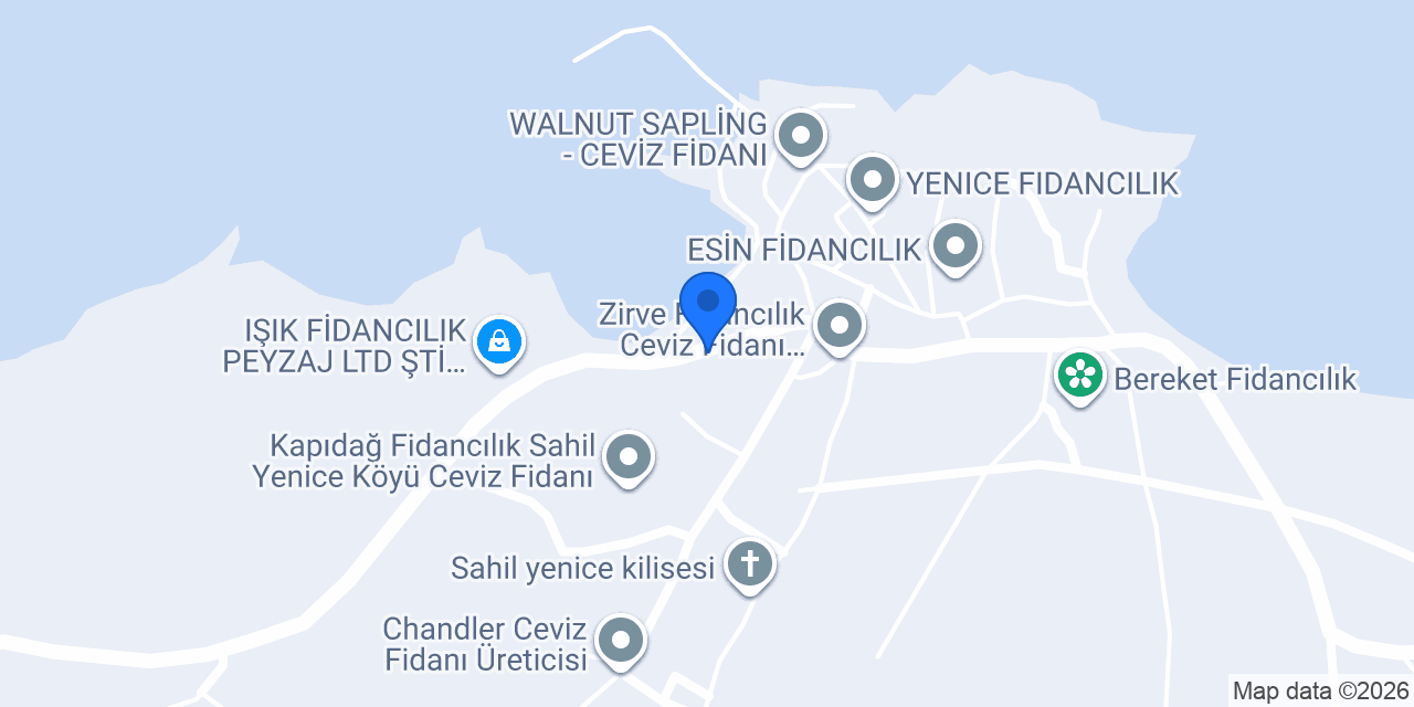 Canceviz Fidan Ltd konumu