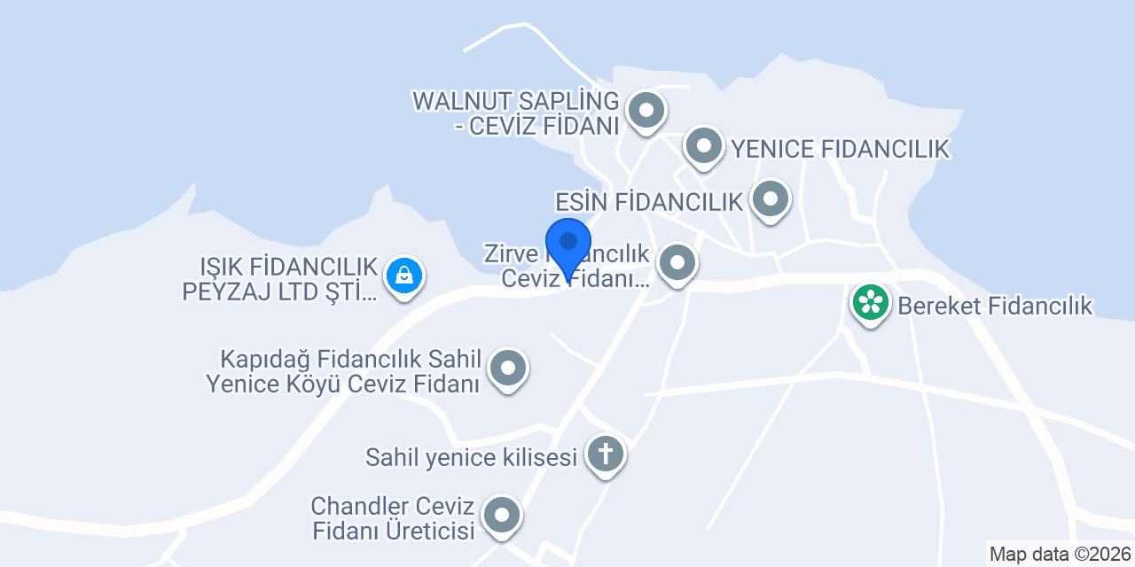 Altun Fidancılık konumu