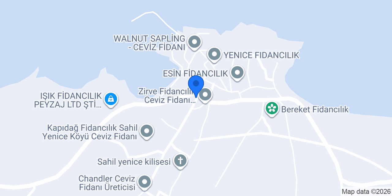 Evren Fidancılık konumu