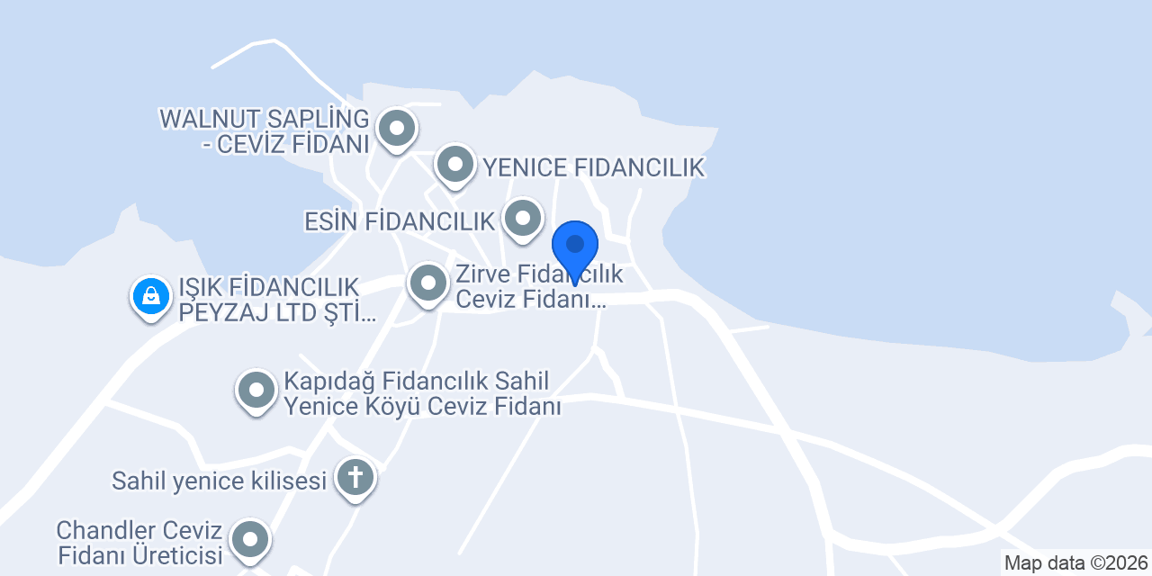 Cevizimburda konumu