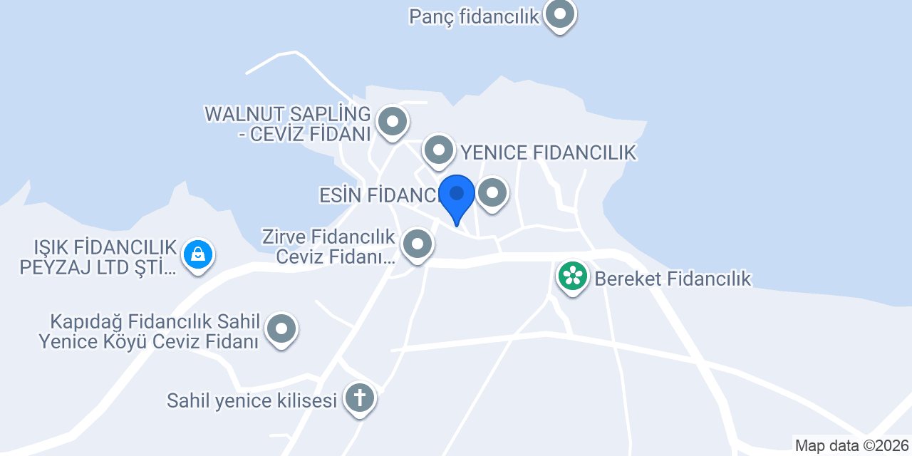 GEZER Fidancılık konumu