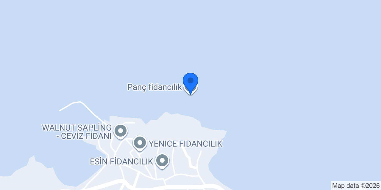 Panç fidancılık konumu