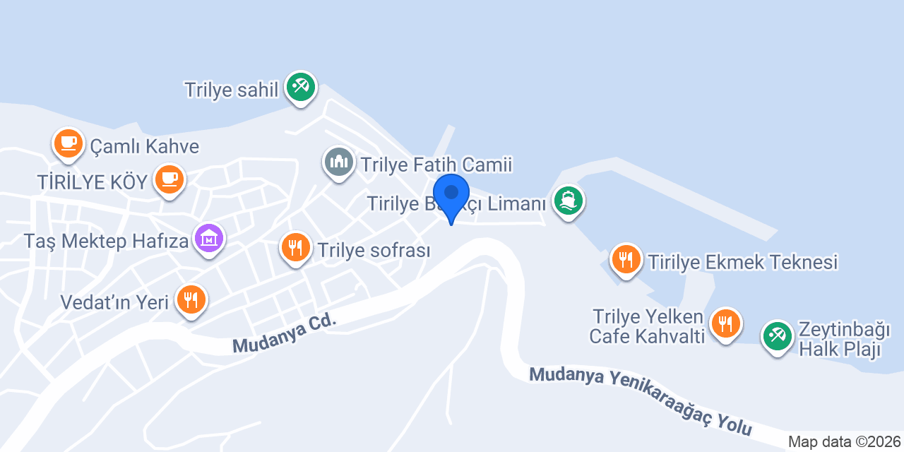Bora Zeytincilik konumu