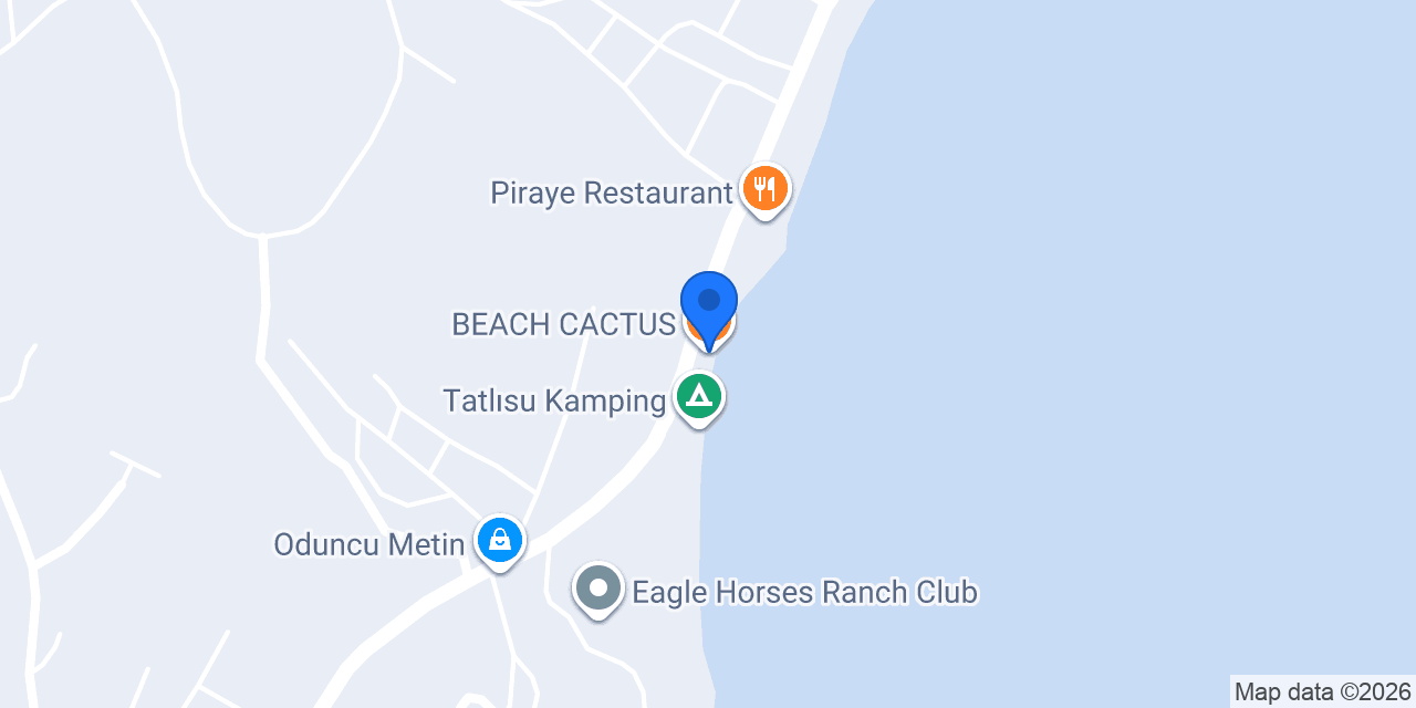 BEACH CACTUS konumu