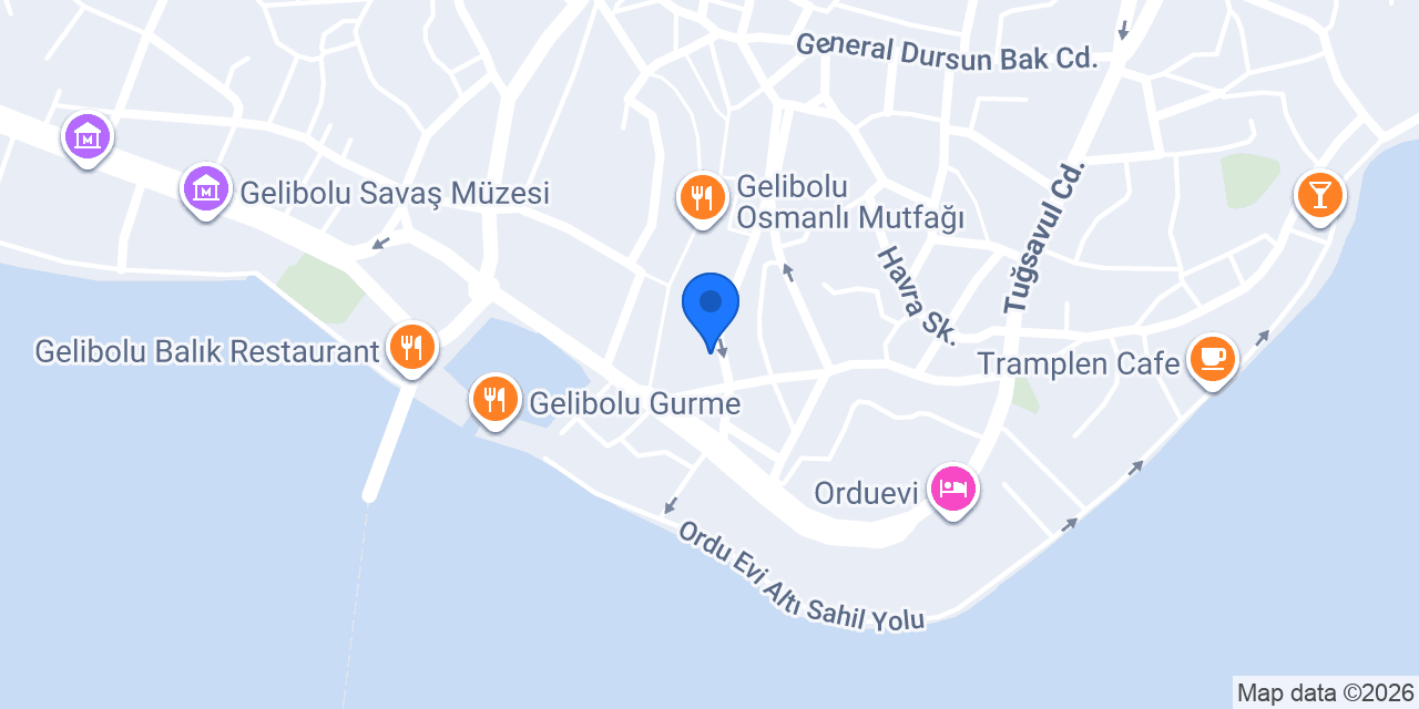 LİMON PİZZA konumu