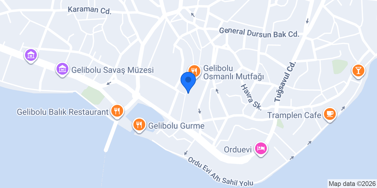 Şampiyon Süs & Oyuncak konumu