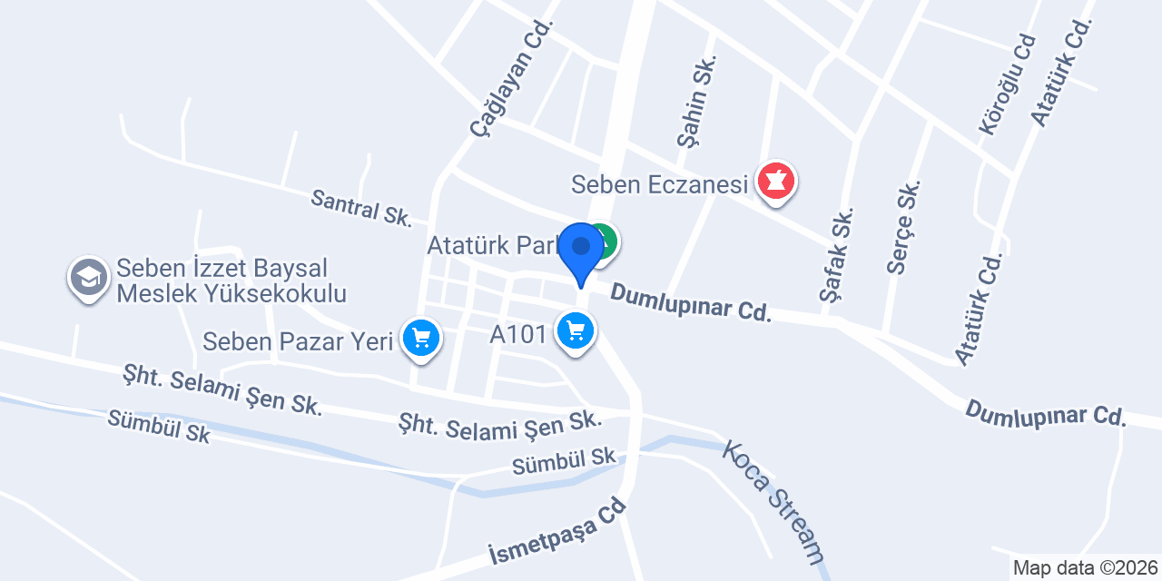 Merkez Elektrik konumu